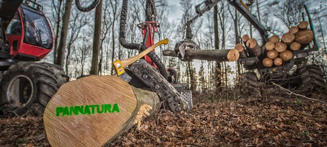 Holz geschnitten mit Maschinen